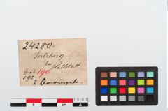 Etiketten zu Bronzering (NHMW-PRAE-024280)